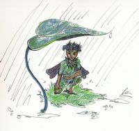 Shelter from the Rain